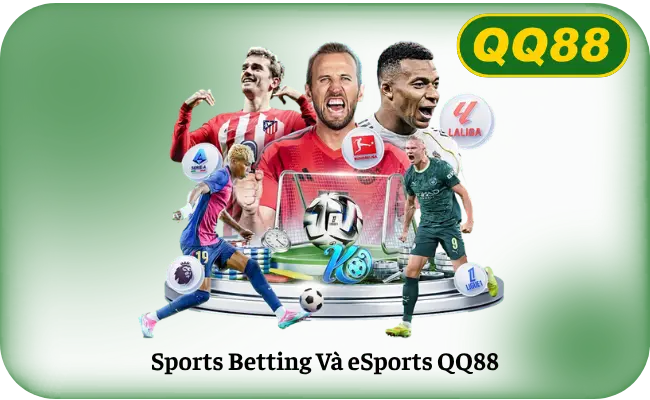 Cá cược thể thao và esports tại QQ88